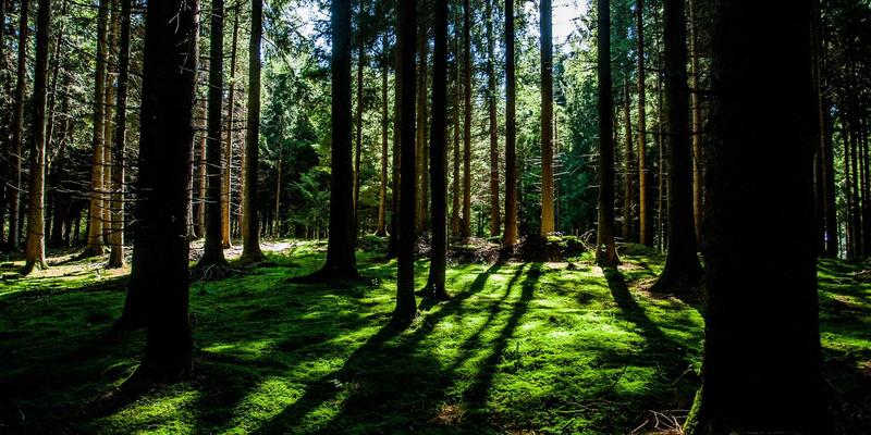 Discover the Best of England: A Complete Guide to British Culture and Travel