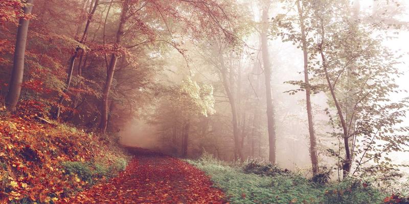 探秘英格兰文学遗产：伦敦查令十字街与剑桥牛津的古董地图与独立书店巡礼