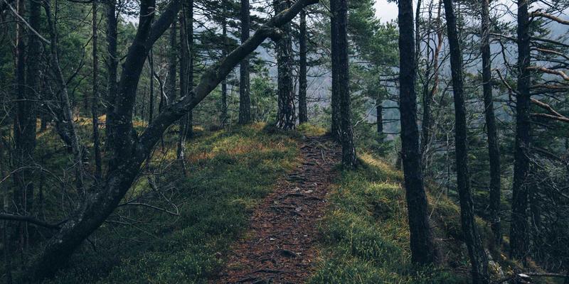 穿越时空的史诗徒步：从侏罗纪海岸到康沃尔天涯海角的英格兰西南海岸线之旅