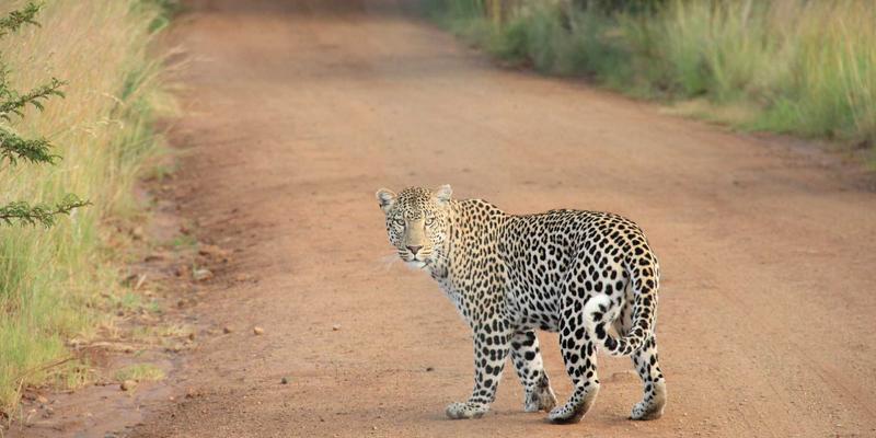 穿越英格兰乡野的工业史诗：从铁桥峡谷到索尔泰尔的世界遗产巡礼