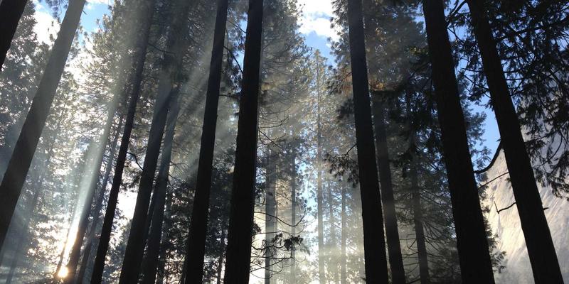 英格兰之旅：从田园诗般的乡村到历史名城，探索不列颠的永恒魅力