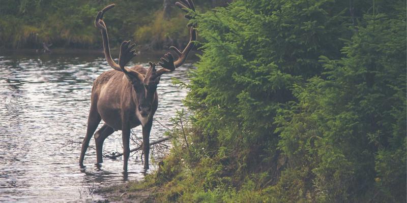 英格兰之旅:超越伦敦,探索英伦的永恒魅力与隐秘瑰宝
