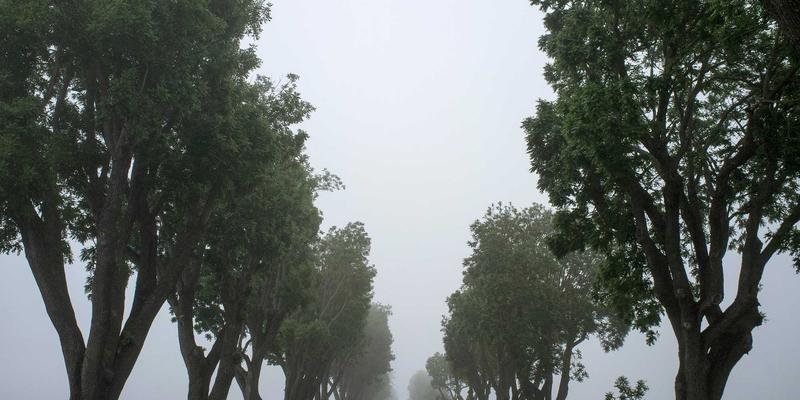 英格兰秋季旅行指南：从新森林国家公园到峰区，沉浸式体验英国文化与自然奇观