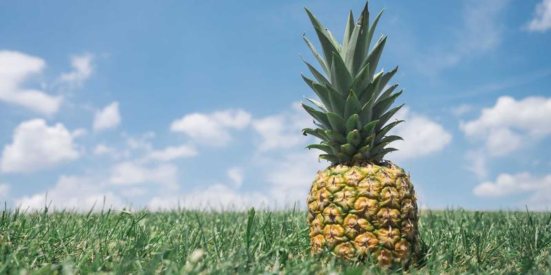 英格兰运河船屋假期全攻略：沉浸式慢游英国历史与乡村的独特方式